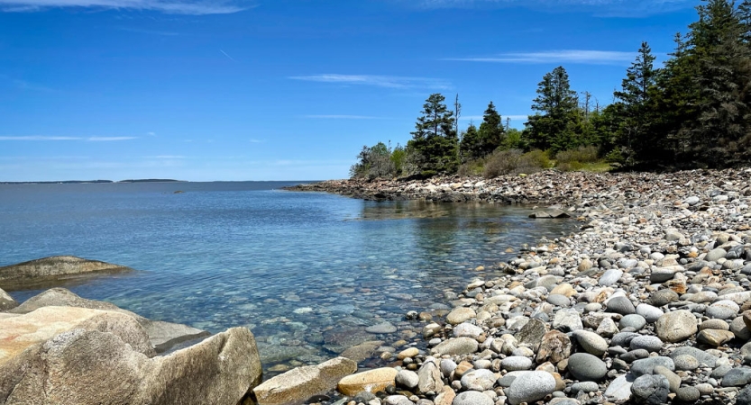 A rocky shore with evergreen trees frames blue water. 